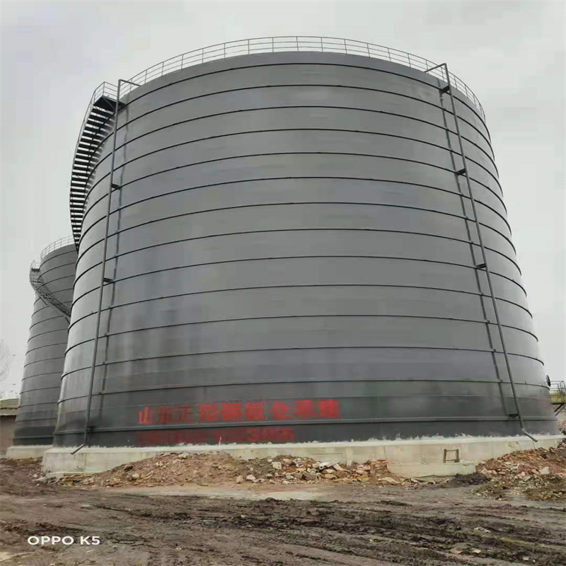 九真镇3万吨大型钢板库