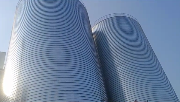 九真镇2座混凝土高架卷板仓